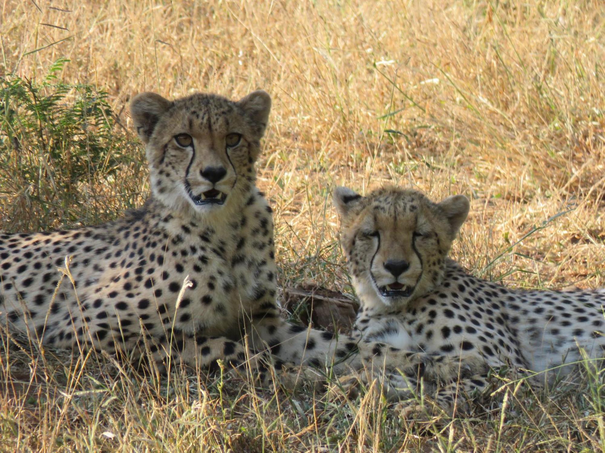 Sable Creek Safari Lodge Tzaneen Exterior foto