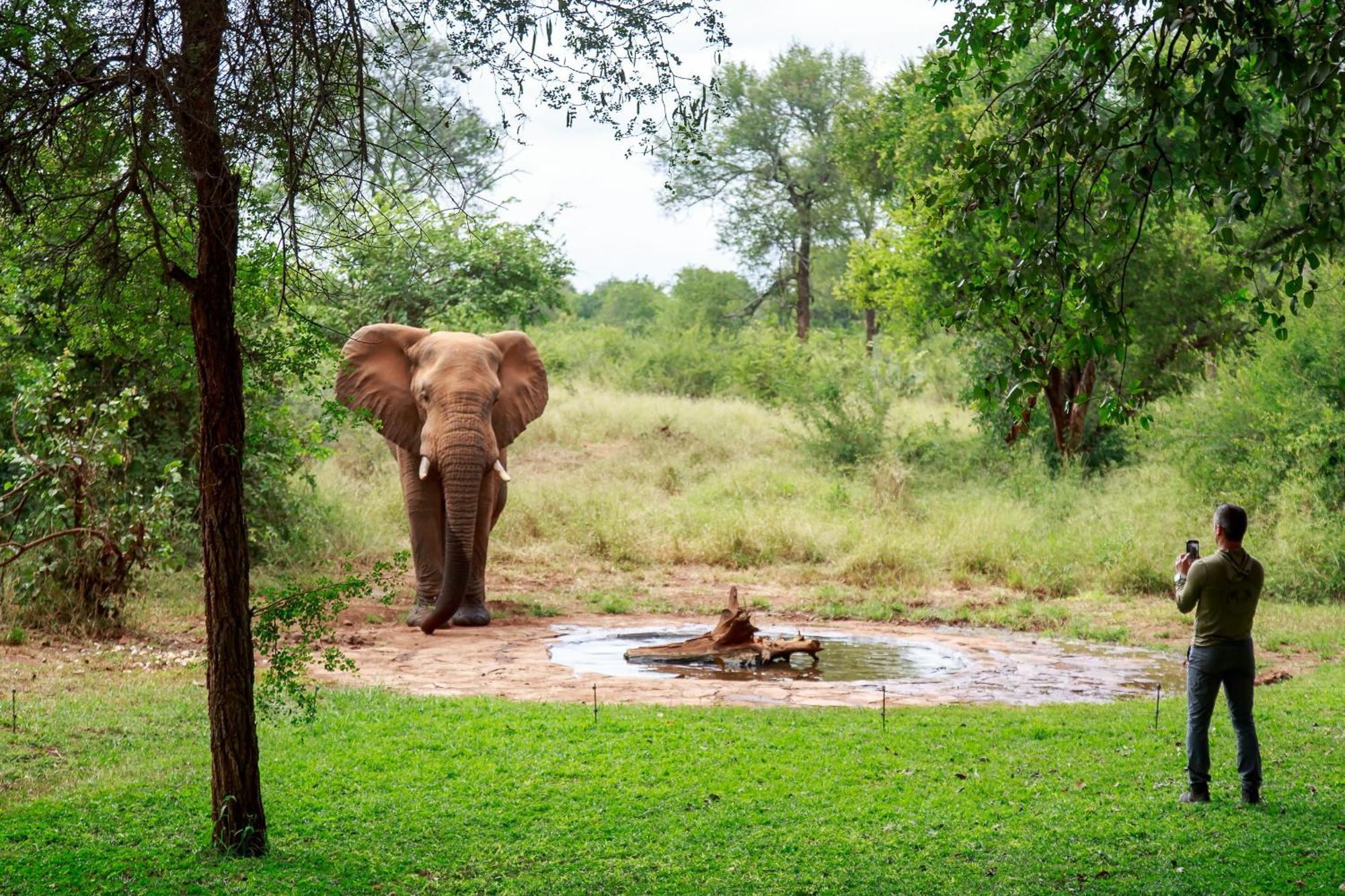 Sable Creek Safari Lodge Tzaneen Exterior foto